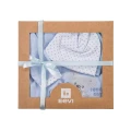 Baby set: bodysuit, sleepsuit and footed pants in blue